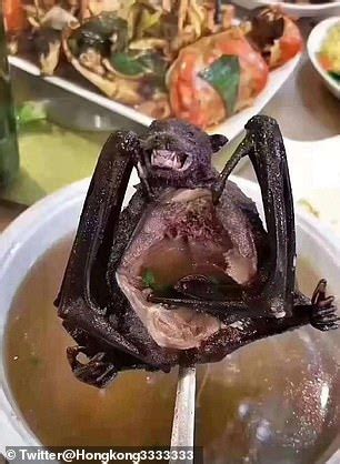 are people in china eating bats